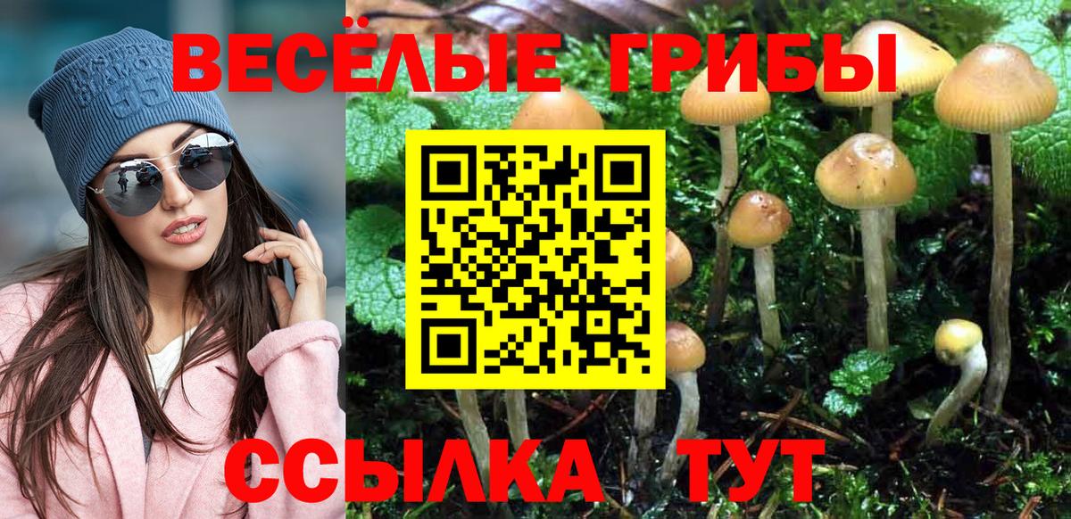 Псилоцибиновые грибы Magic Shrooms Златоуст