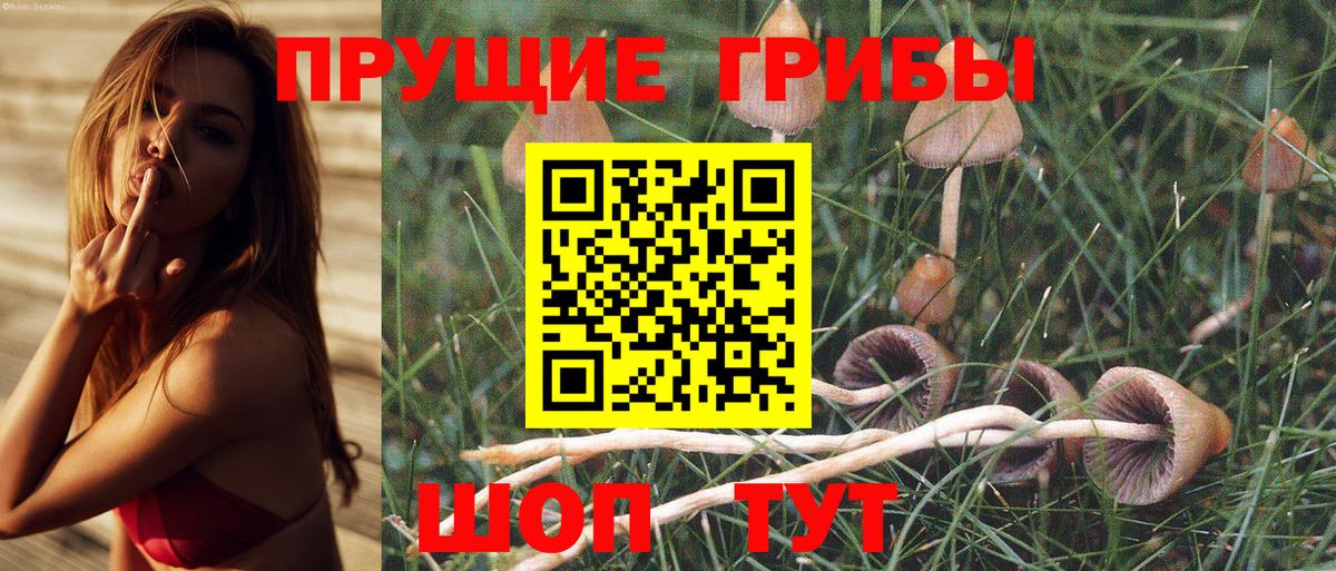Галлюциногенные грибы мухоморы  Вход с VPN  Галлюциногенные грибы мухоморы  Златоуст 